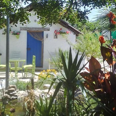 Villa Vivienda Rural La choza Jerez de la Frontera Esterno foto
