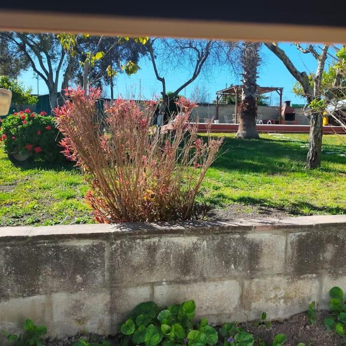 Villa Vivienda Rural La choza Jerez de la Frontera Esterno foto